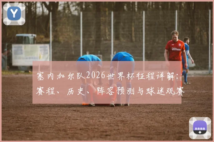 塞内加尔队2026世界杯征程详解：赛程、历史、阵容预测与球迷观赛指南